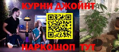 сатива Донской