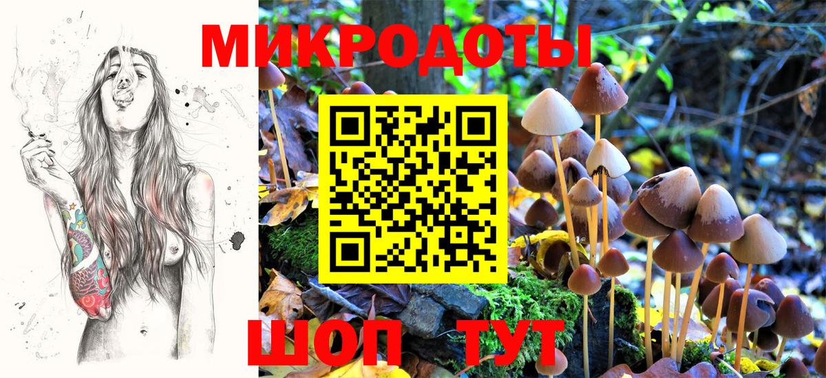 Благодарный  Псилоцибиновые грибы MAGIC MUSHROOMS  Вход с VPN  Галлюциногенные грибы мухоморы 